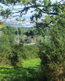 Terreno RURAL en Ventas de Irún-Gurutxe: dirección Oiartzun.
