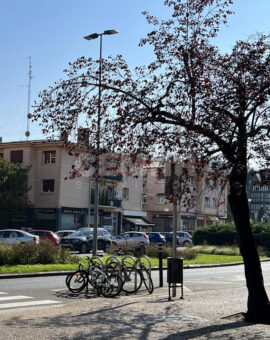 Exclusiva vivienda en la última planta. Para entrar a vivir Exclusiva vivienda en la última planta. Para entrar a vivir